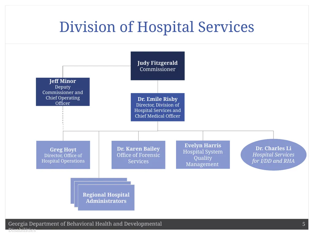 DBHDD Commissioner Judy Fitzgerald Commissioner - slide 5 of 9