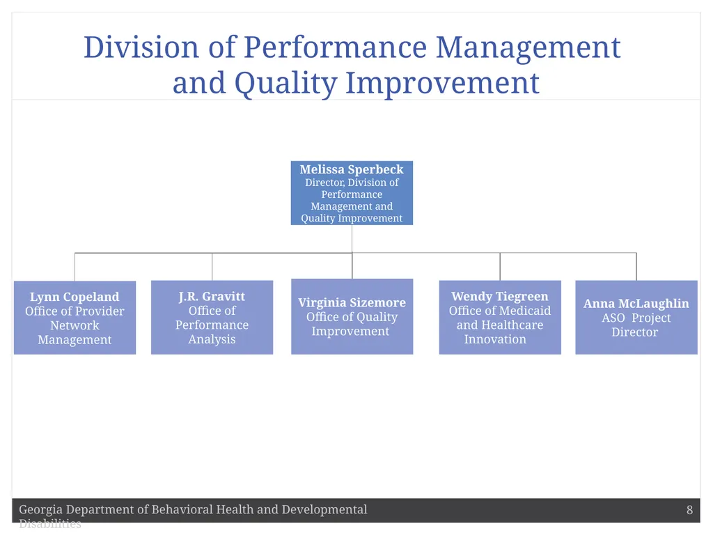 DBHDD Commissioner Judy Fitzgerald Commissioner - slide 8 of 9