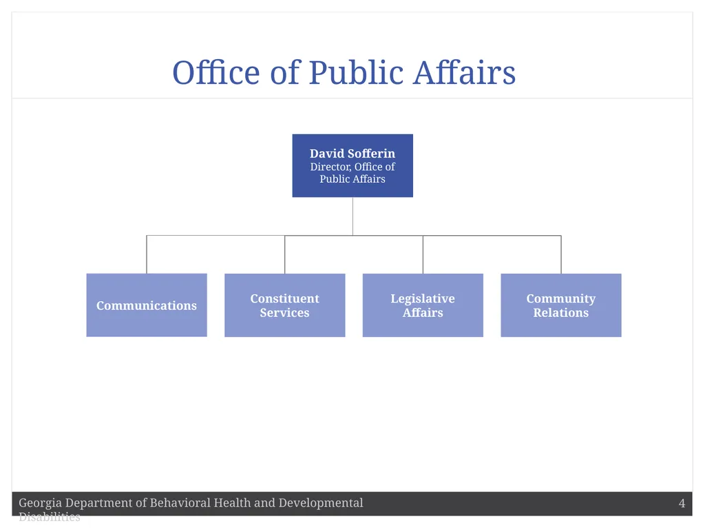 DBHDD Commissioner Judy Fitzgerald Commissioner - slide 4 of 9