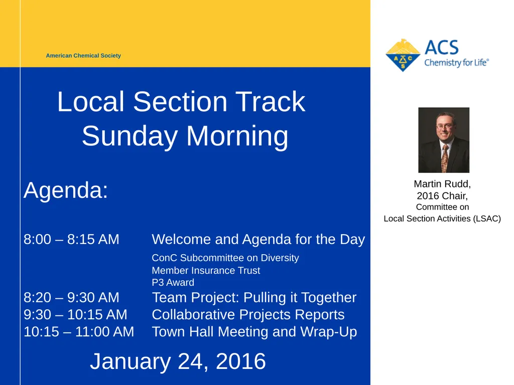 American Chemical Society Local Section Track - slide 2 of 30