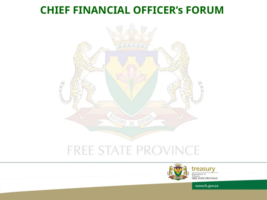 CHIEF FINANCIAL OFFICER’s FORUM PRESENTATION