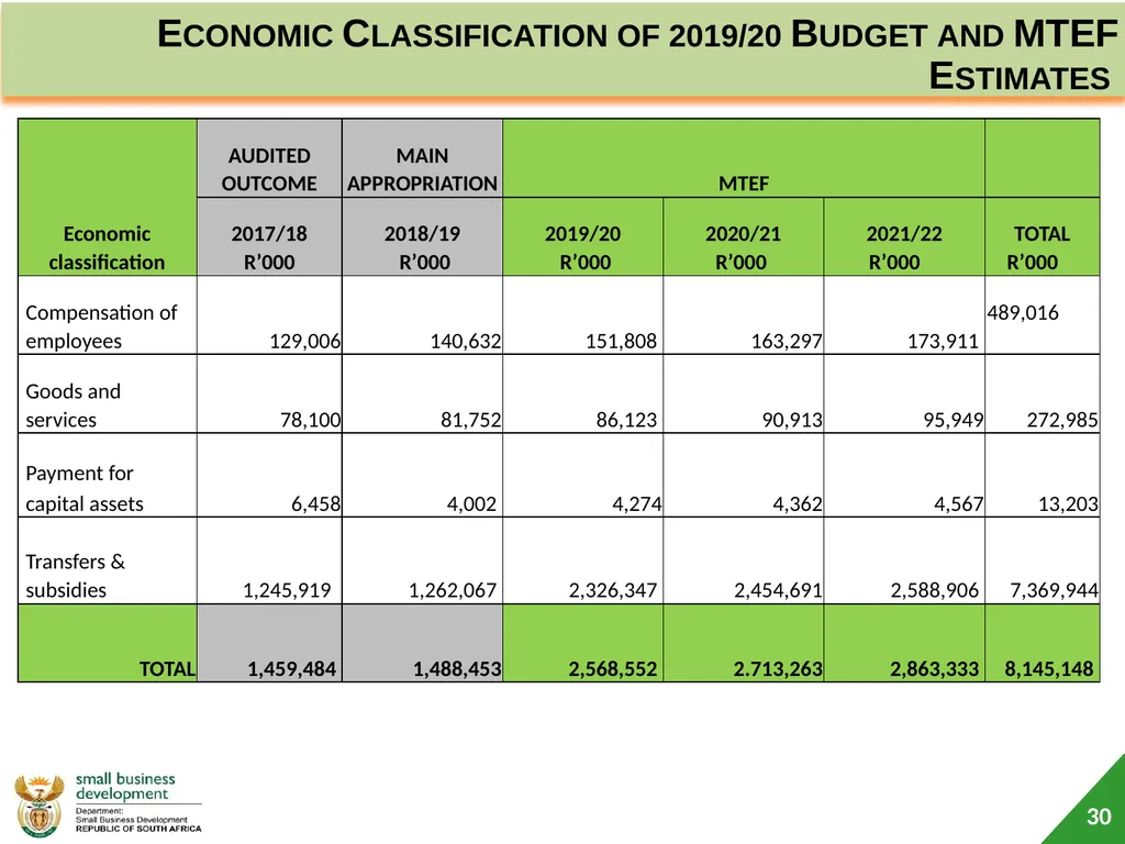 Department of Small Business Development (DSBD) - slide 30 of 59