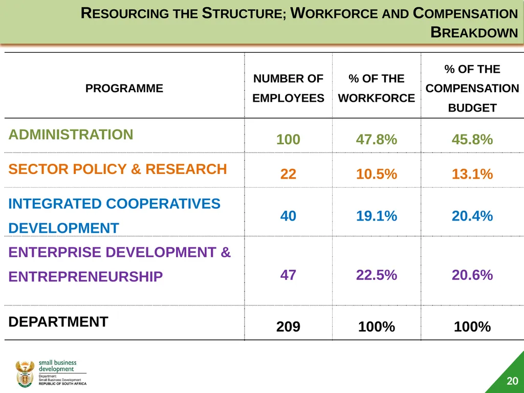 Department of Small Business Development (DSBD) - slide 20 of 59