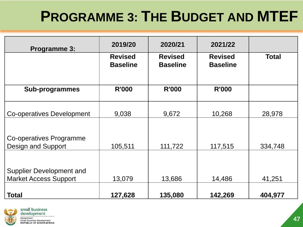 Department of Small Business Development (DSBD) - slide 47 of 59