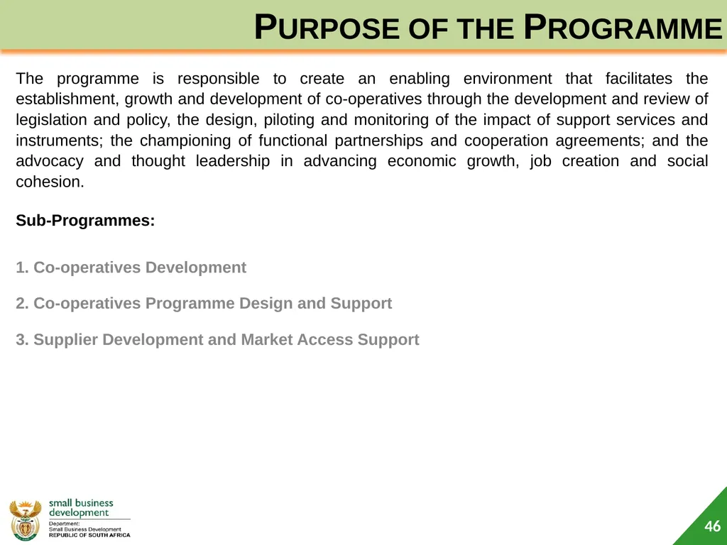 Department of Small Business Development (DSBD) - slide 46 of 59