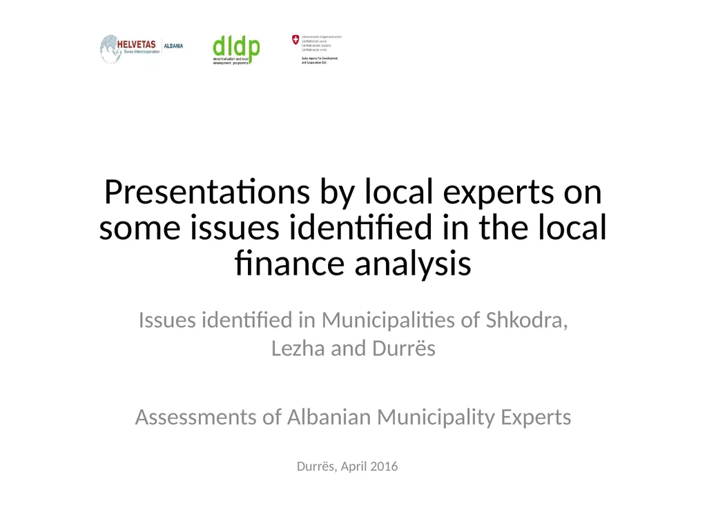Presentations by local experts on some issues