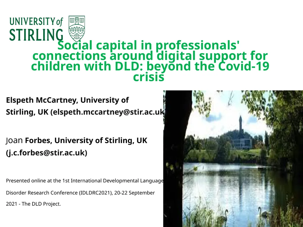 Social capital in professionals' connections - slide 1 of 19