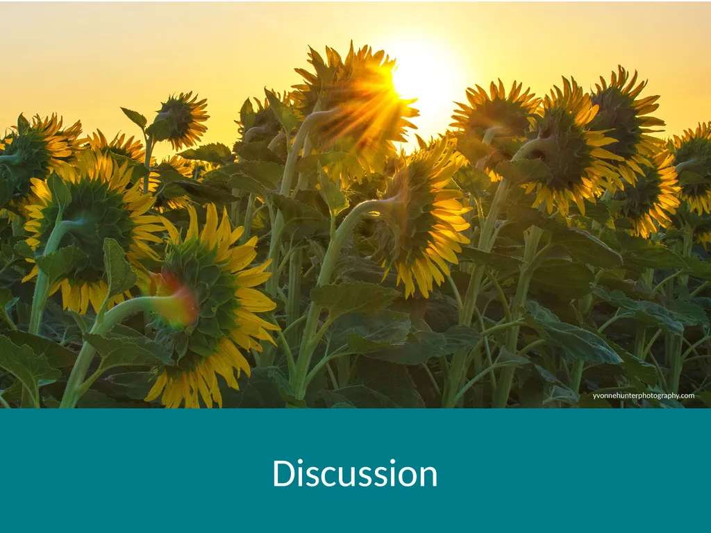 VCE Community Advisory Committee Meeting – - slide 33 of 45