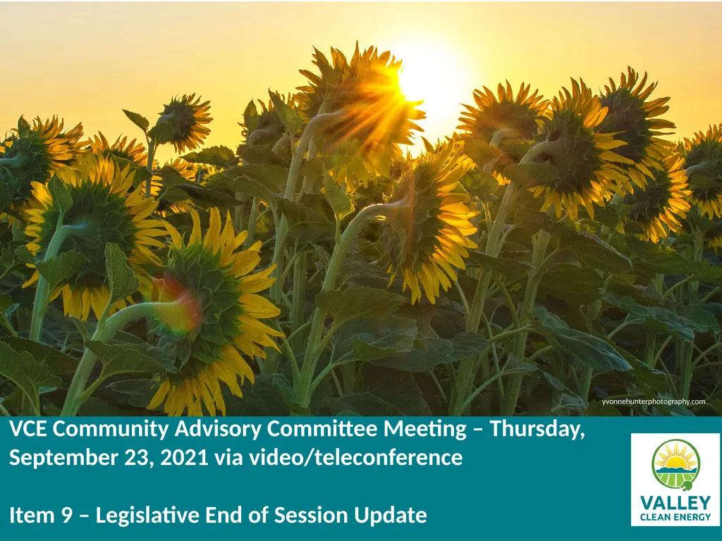 VCE Community Advisory Committee Meeting – - slide 1 of 45