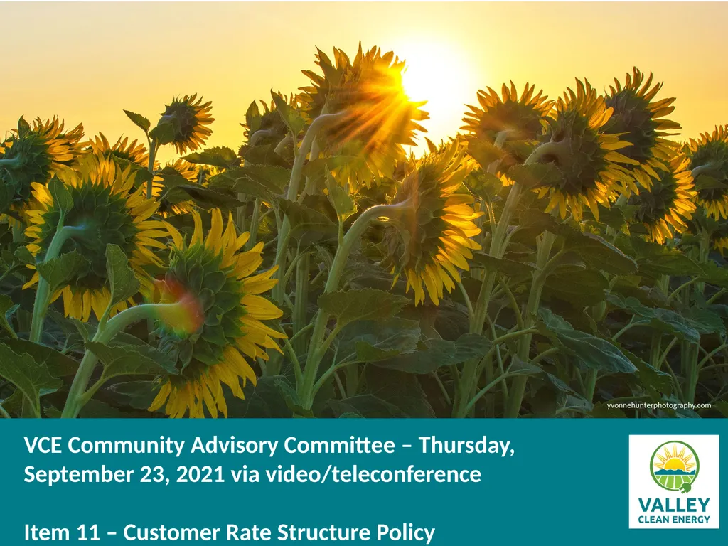 VCE Community Advisory Committee Meeting – - slide 14 of 45