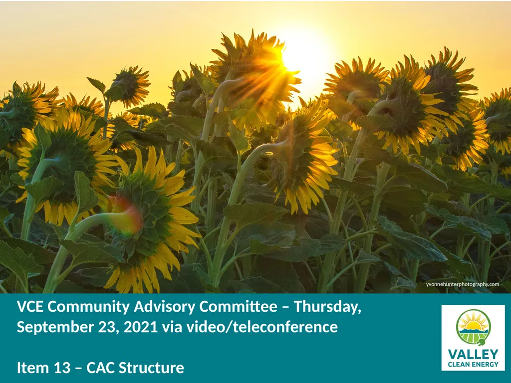 VCE Community Advisory Committee Meeting – - slide 43 of 45