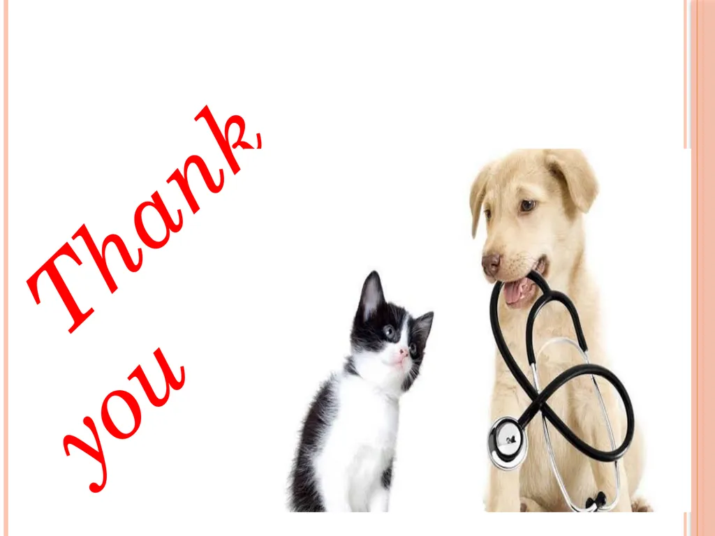 CLIENT MANAGEMENT & PUBLIC RELATION DR. ARCHANA - slide 24 of 24