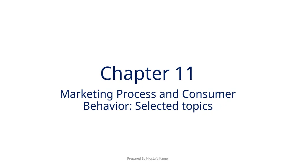 Chapter 11 Marketing Process and Consumer