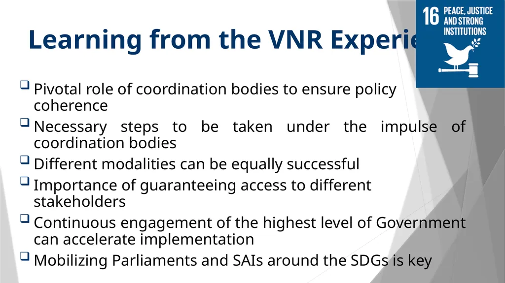 VOLUNTARY NATIONAL REVIEWS AND INSTITUTIONAL - slide 17 of 20