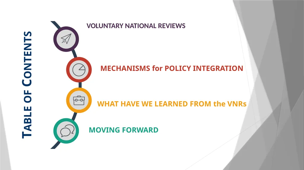 VOLUNTARY NATIONAL REVIEWS AND INSTITUTIONAL - slide 2 of 20