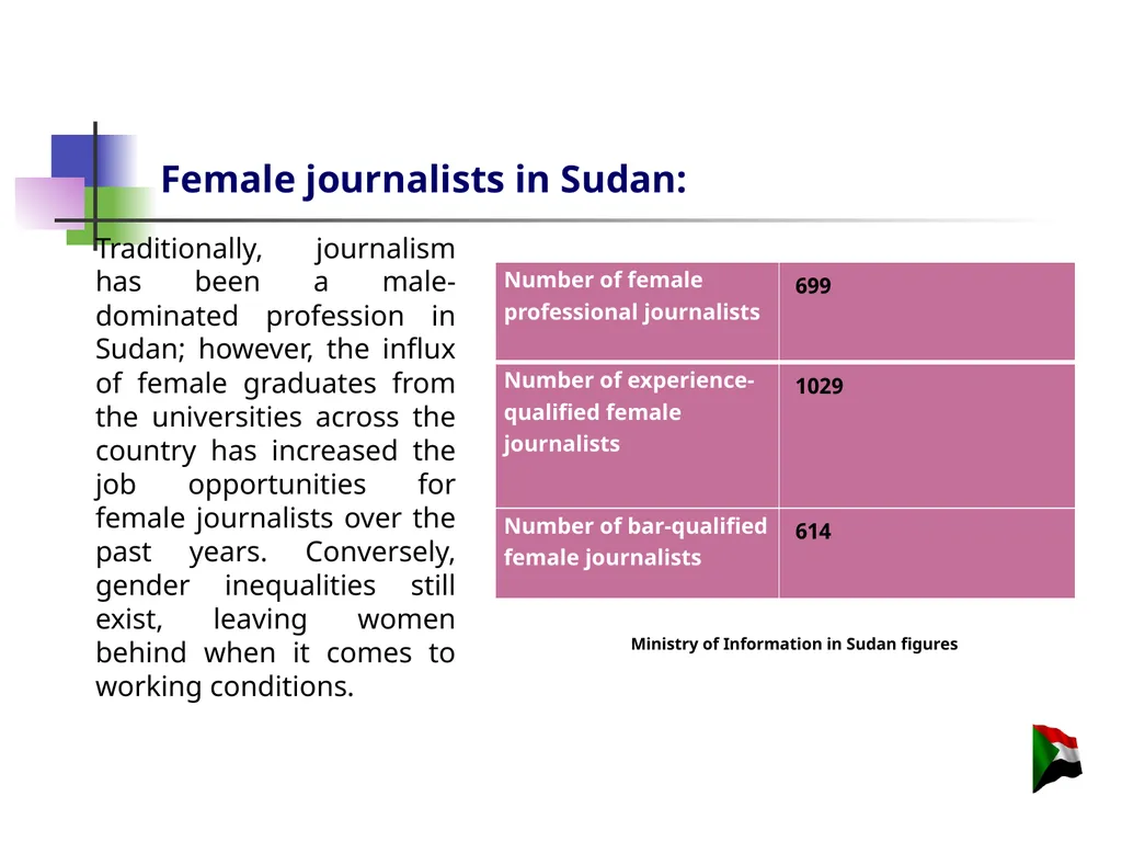 The Republic of Sudan Ministry of Security and - slide 13 of 30