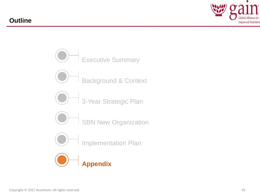 SUN Business Network (SBN) Strategic Plan 2017 – - slide 45 of 45