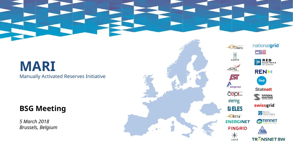 MARI Manually Activated Reserves Initiative BSG - slide 1 of 24