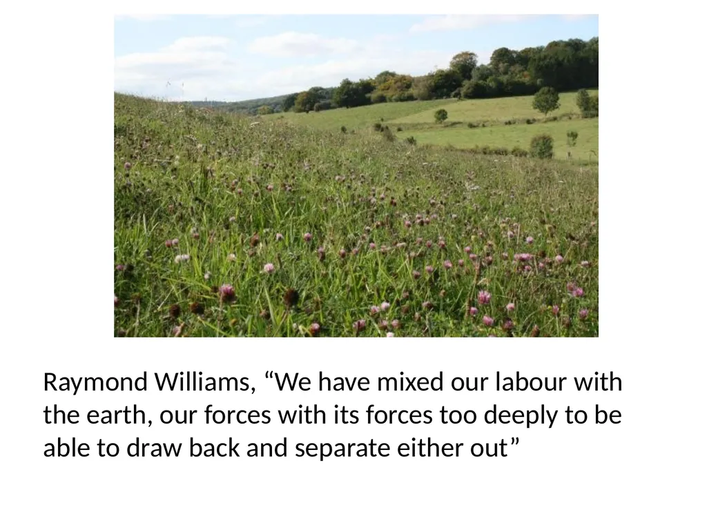 Jason W. Moore, ‘Ecology, Capital, and the Nature - slide 7 of 14