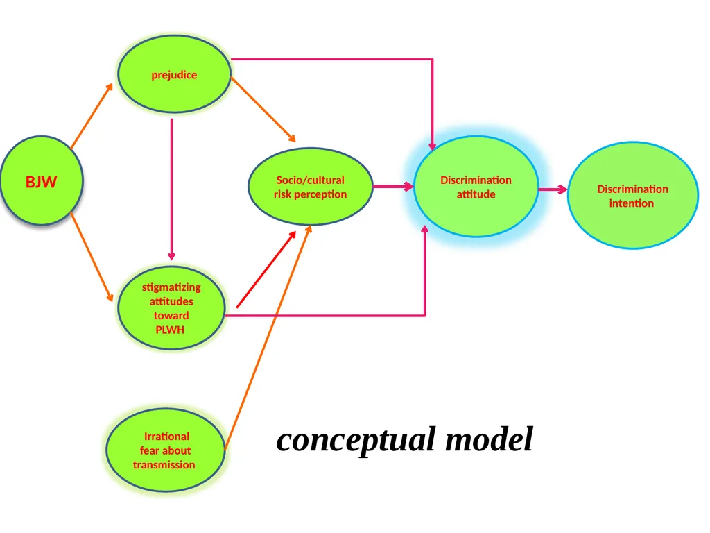 Proposing a conceptual model of discriminatory - slide 30 of 67