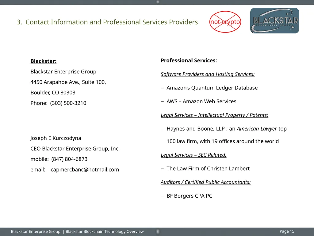 Overview : Blackstar Enterprise Group Inc. - slide 15 of 15