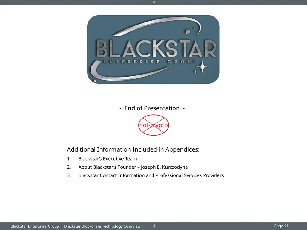 Overview : Blackstar Enterprise Group Inc. - slide 11 of 15