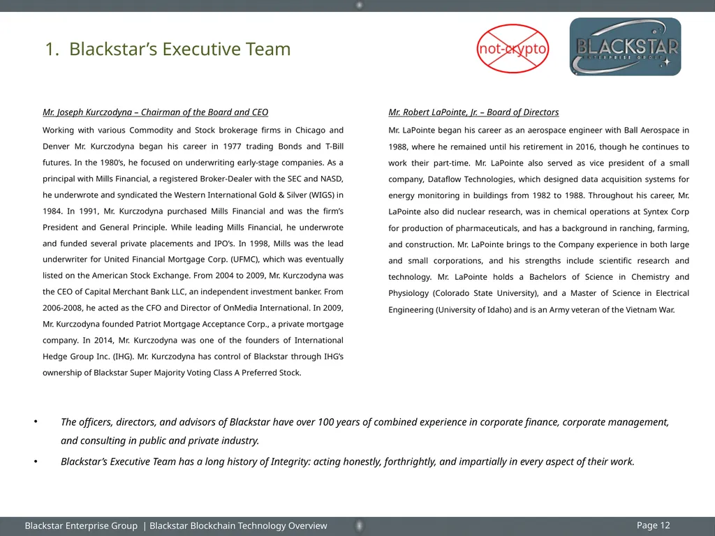 Overview : Blackstar Enterprise Group Inc. - slide 12 of 15