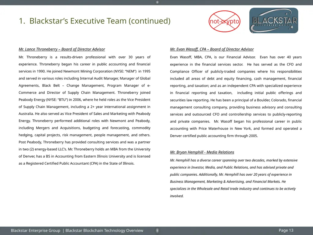 Overview : Blackstar Enterprise Group Inc. - slide 13 of 15