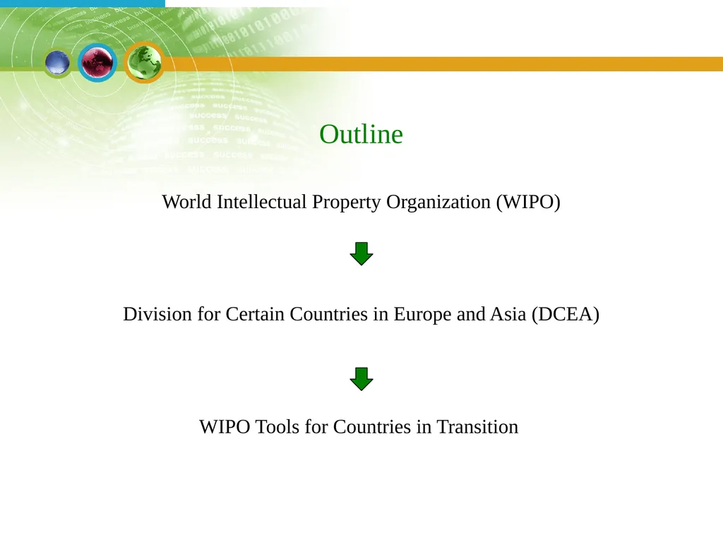 WORLD INTELLECTUAL PROPERTY ORGANIZATION WIPO - slide 3 of 23