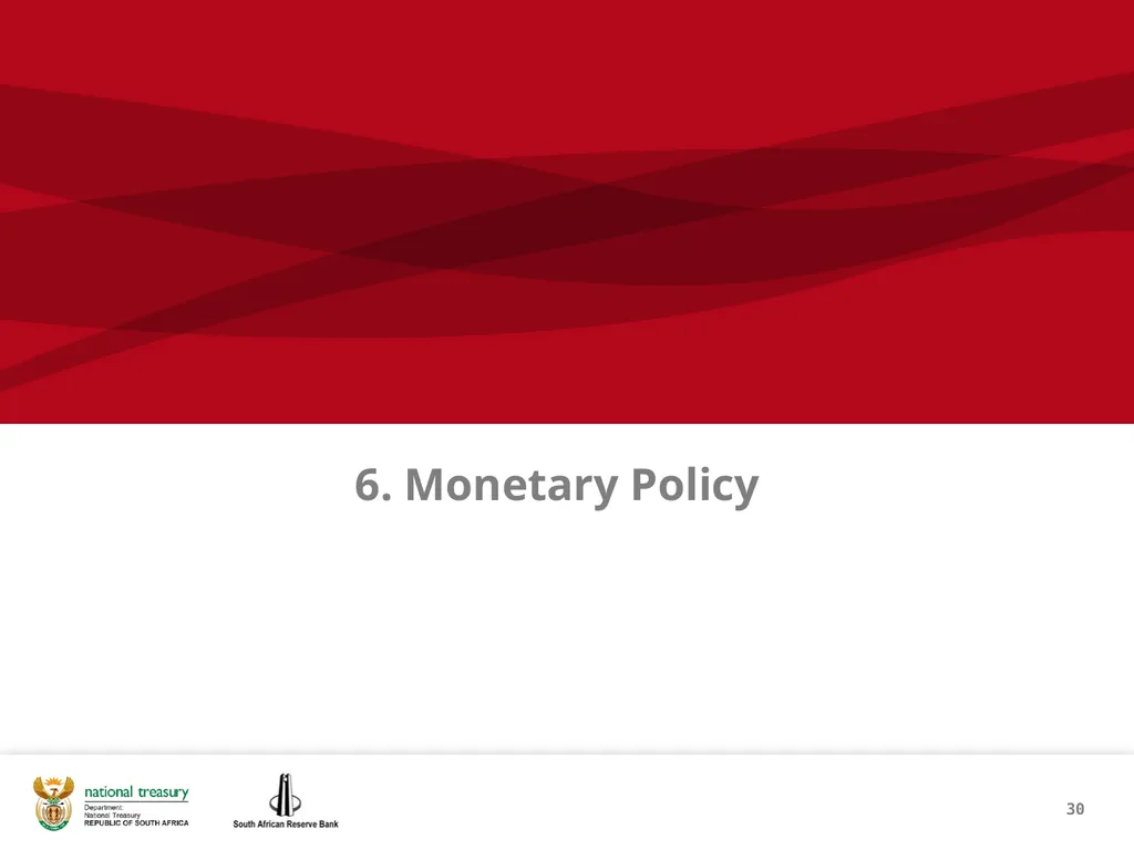 1 THE REPUBLIC OF SOUTH AFRICA Investor - slide 30 of 40