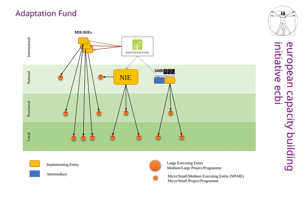 What to do with the Adaptation Fund? Its role in - slide 7 of 14
