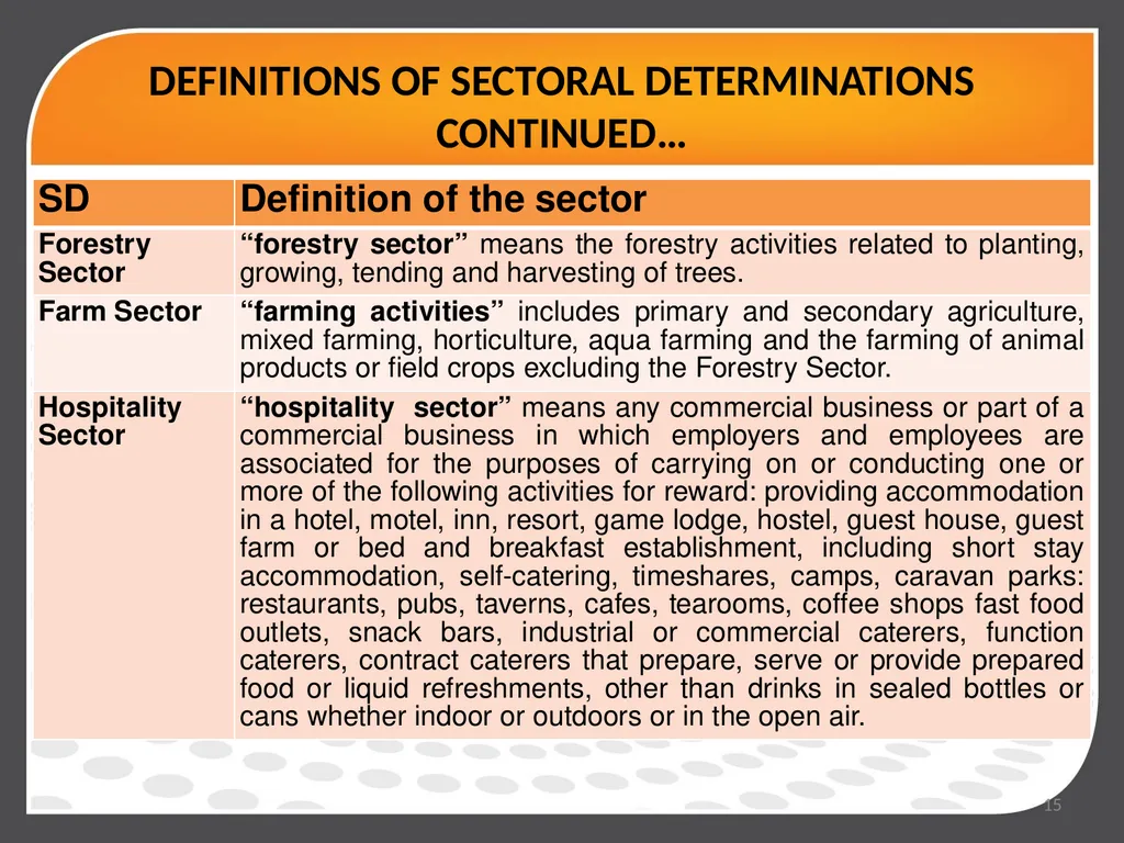 DEPARTMENT OF EMPLOYMENT AND LABOUR PORTFOLIO - slide 15 of 17