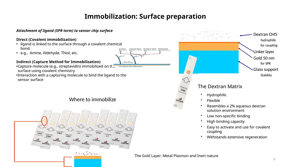 IIT Bombay SPR Central facility Facility TA: Rucha - slide 9 of 15