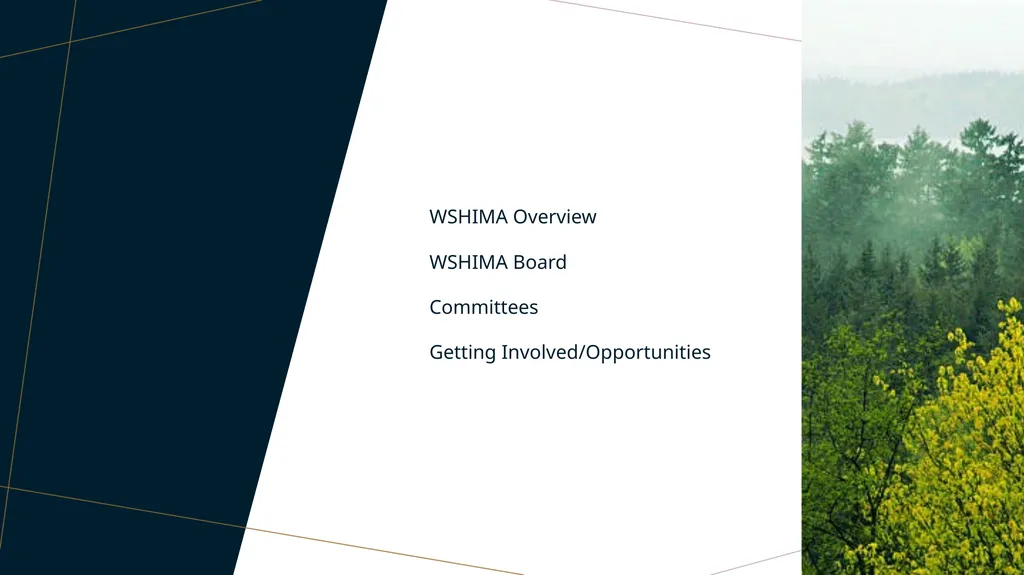 WSHIMA Update Amy Bolin-Deon, MHIS, RHIA, CHP - slide 2 of 17