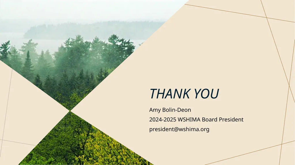 WSHIMA Update Amy Bolin-Deon, MHIS, RHIA, CHP - slide 17 of 17