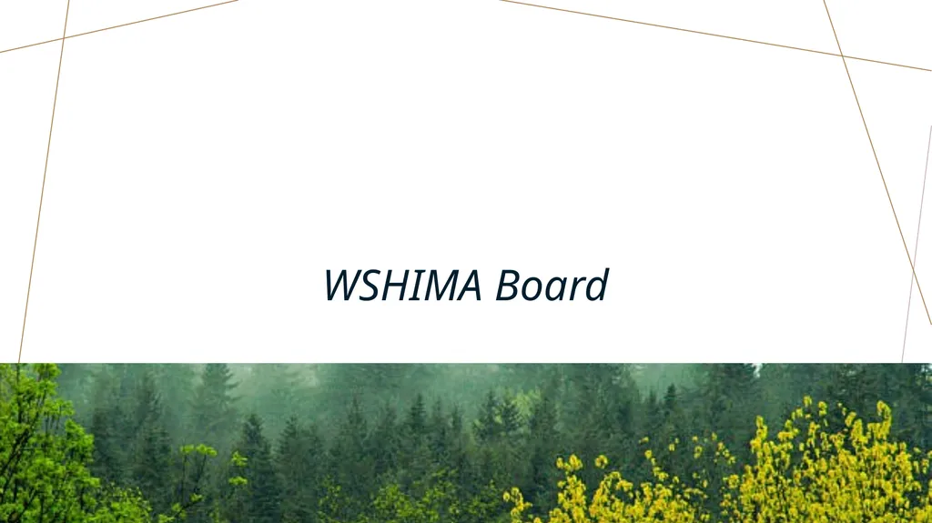 WSHIMA Update Amy Bolin-Deon, MHIS, RHIA, CHP - slide 7 of 17