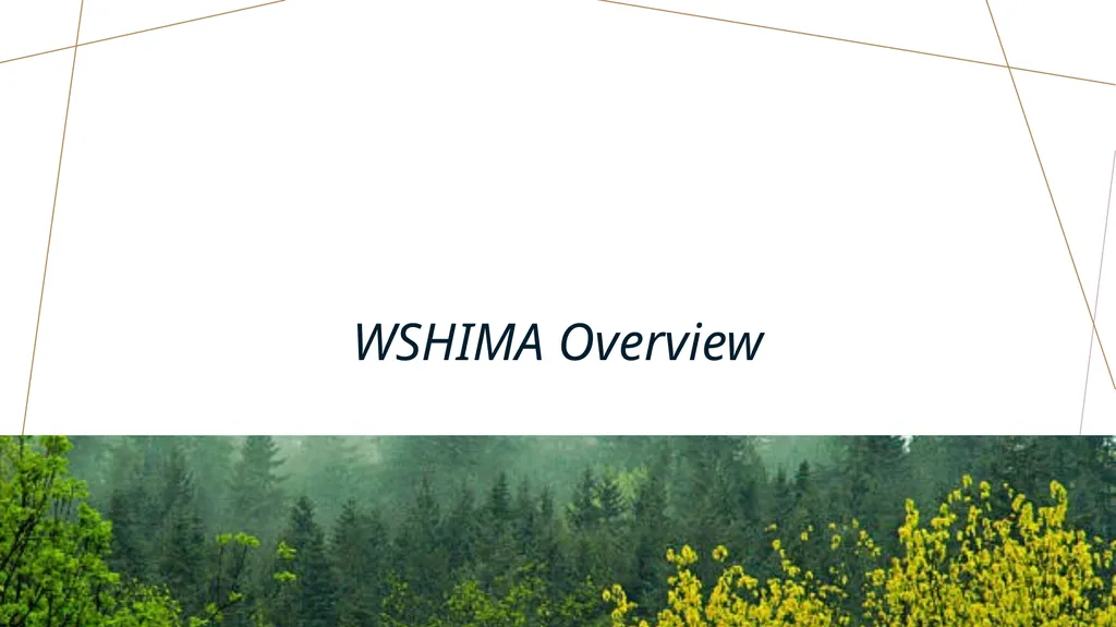 WSHIMA Update Amy Bolin-Deon, MHIS, RHIA, CHP - slide 3 of 17