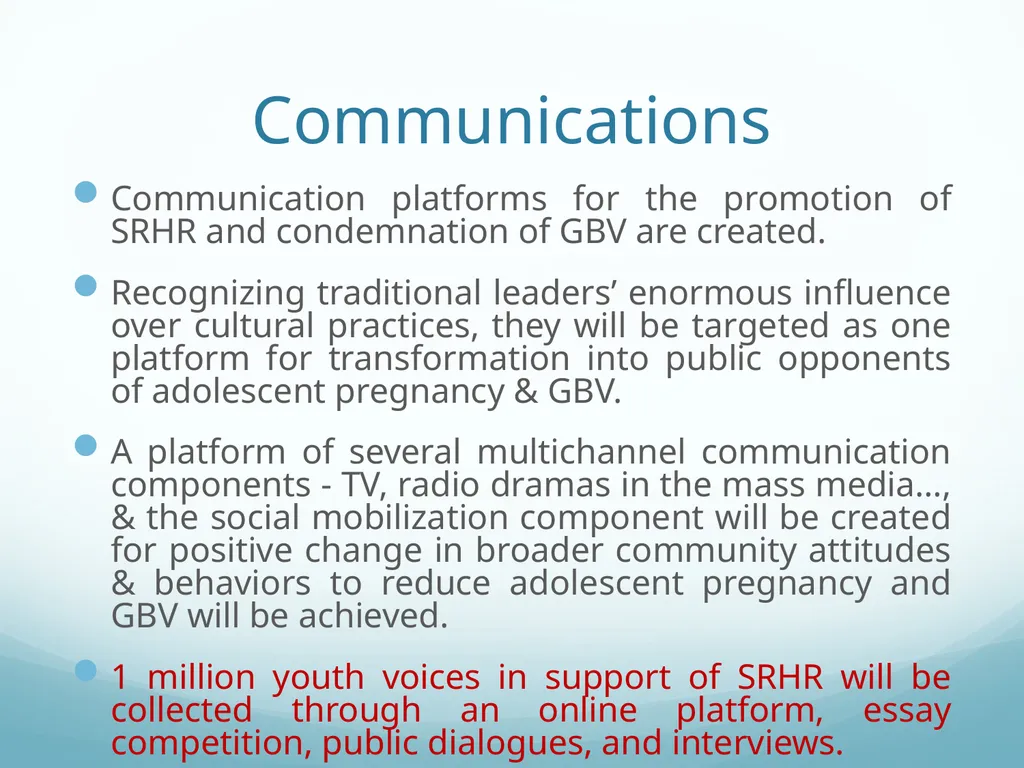 Building Bridges to End GBV & Increase Young - slide 13 of 39