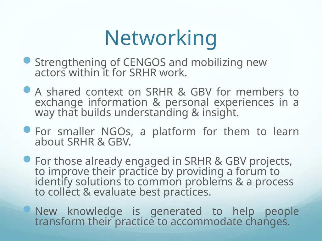 Building Bridges to End GBV & Increase Young - slide 16 of 39
