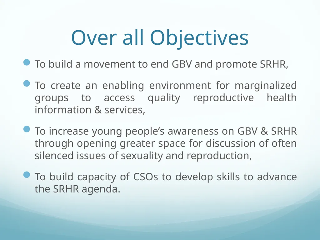 Building Bridges to End GBV & Increase Young - slide 4 of 39