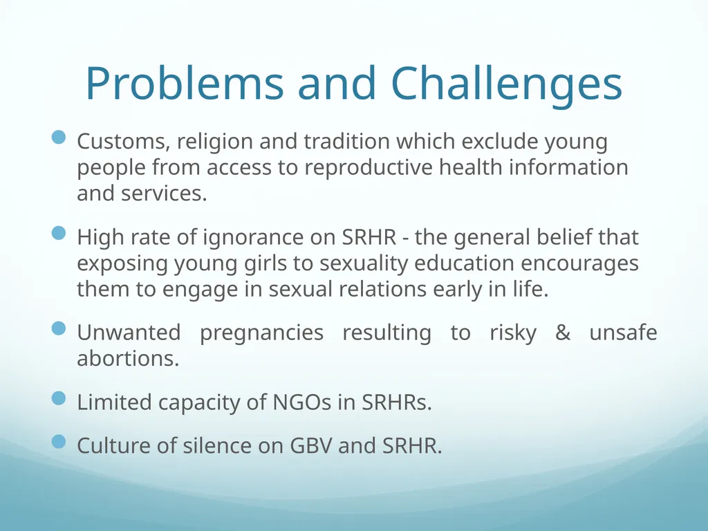 Building Bridges to End GBV & Increase Young - slide 7 of 39