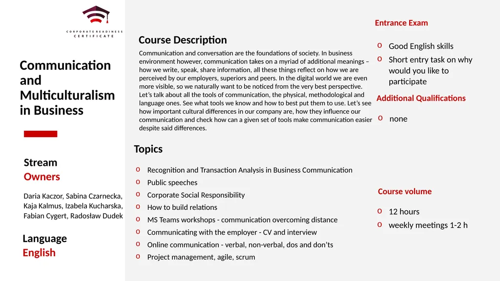 Lista Streamów Accenture. Lista Streamów EY. - slide 6 of 17
