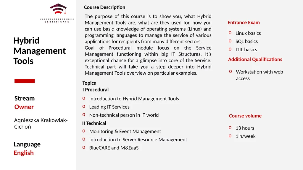 Lista Streamów Accenture. Lista Streamów EY. - slide 13 of 17