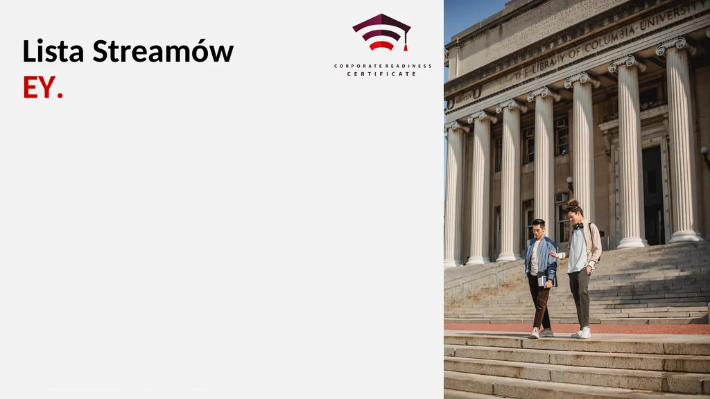 Lista Streamów Accenture. Lista Streamów EY. - slide 2 of 17