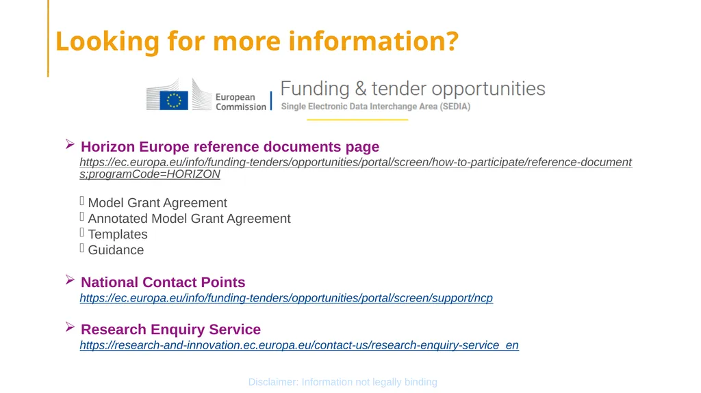 Coordinators’ Day Grant Agreement Preparation - slide 29 of 30
