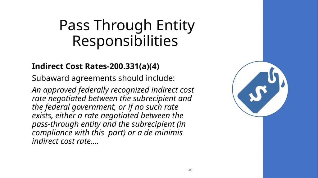 Federal Grant Reporting 101 & Lessons Learned - slide 40 of 48