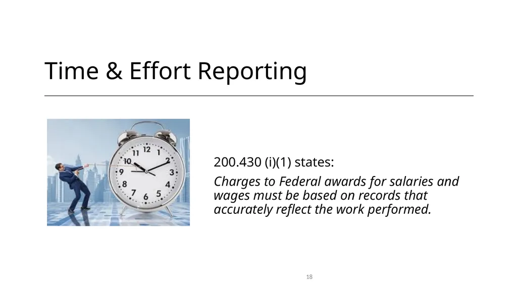 Federal Grant Reporting 101 & Lessons Learned - slide 18 of 48