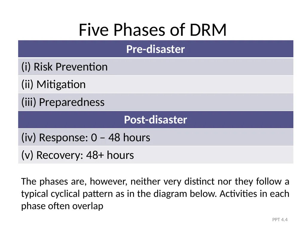 Module 4 The Five Phases of DRM PPT 4.1 Module - slide 4 of 35