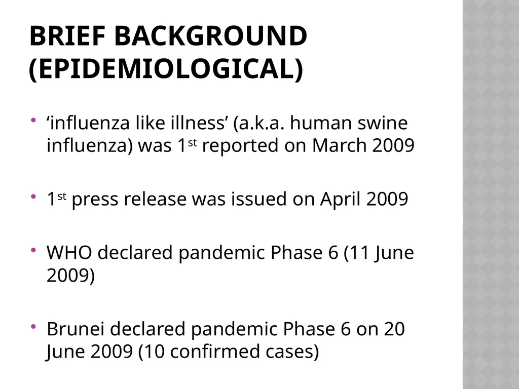 Brunei Darussalam: Experience In Health Crisis - slide 4 of 17