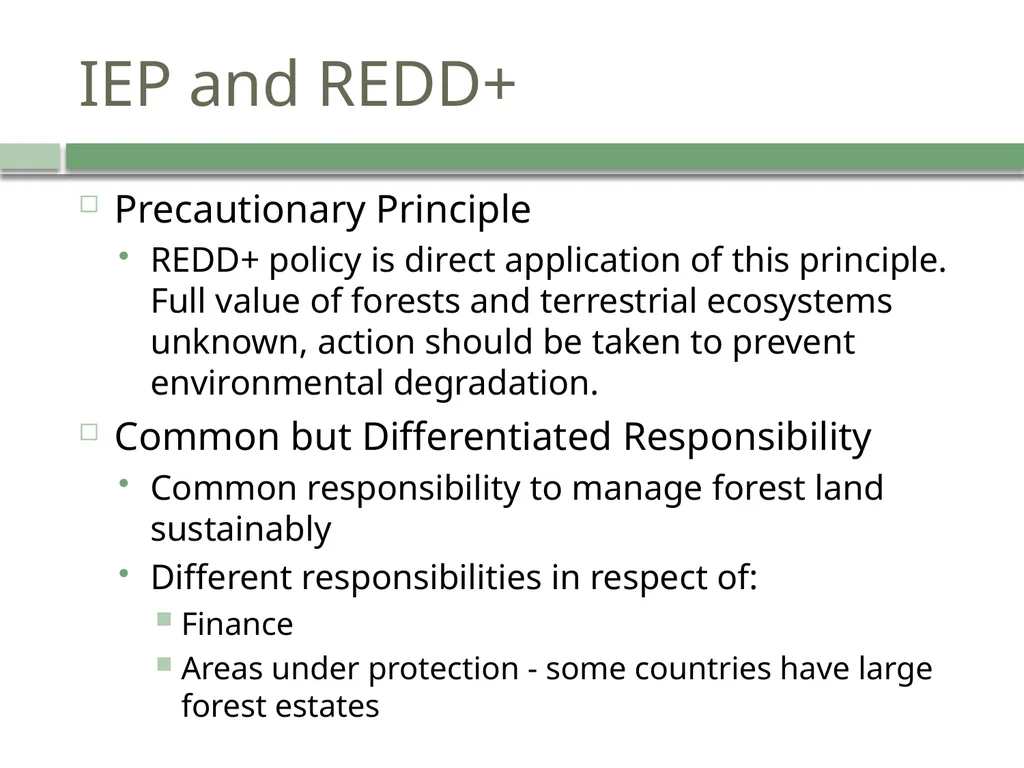 The Legal Nature of Justice in REDD+ Dr Rowena - slide 22 of 27